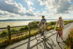 A scene from the Exe Estuary Trail