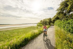 A scene from the West Country Way